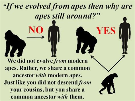 Here Are Some Widespread Myths About Human …