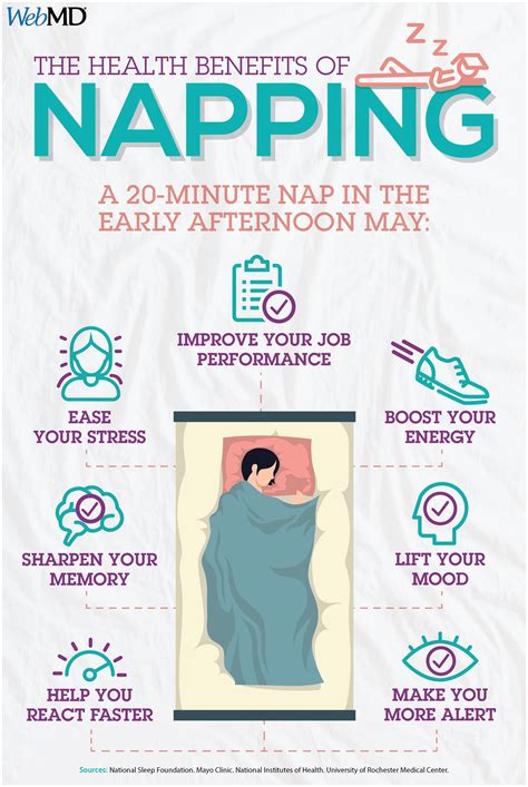 Here are a few facts about taking naps