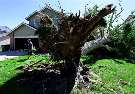 Here are drop-off locations for trees, storm debris as cleanup in Highlands Ranch continues with trained volunteers