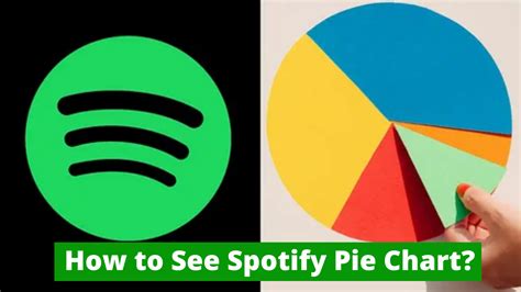 Here s How You Can Get the Spotify Pie Chart
