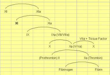 Hereditary factor XI deficiency disease (Concept Id: C0015523)