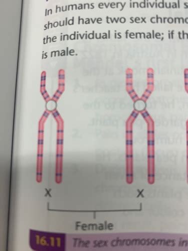 Heredity and Genetics Flashcards Quizlet