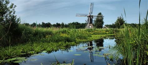 Herfstuitjes in Overijssel - VisitOost