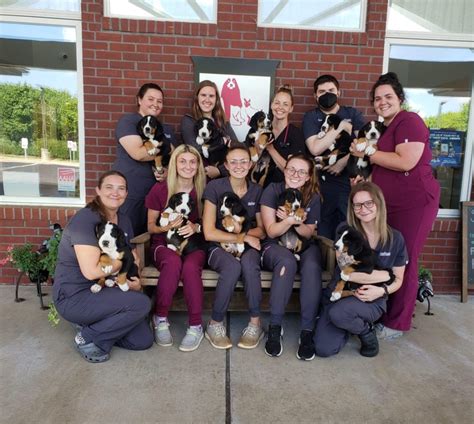 Heritage vet dundee. Dundee Veterinary Clinic is a veterinarian at 601 Riley Street, Dundee, MI 48131 48131 and provides medical care for animals. ... Heritage Animal Hospital Dundee, MI ... 