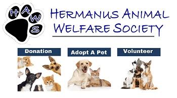 Hermanus Animal Welfare (HAWS) - Hermanus Property Services