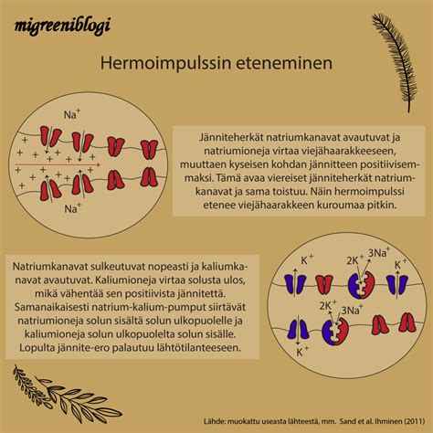 Hermosolujen viestintä - MIGREENIBLOGI