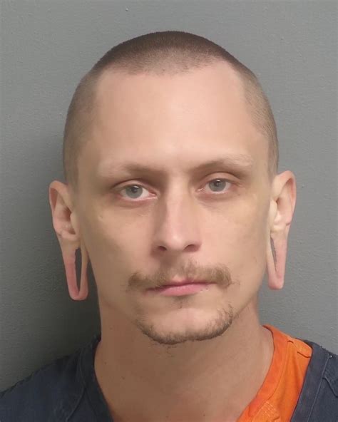 Aug 26, 2023 · Hernando County Inmate Booking Information Inmate Name: THOMAS, TYLER WAYNE ... Hernando County Detention Center; 16425 Spring Hill Dr., Brooksville Fl 34604; . 