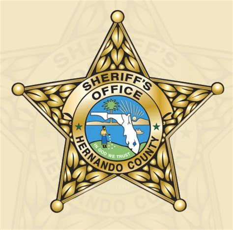 Hernando county sheriff log.  It&rsquo;s an easy way for residents to sta...