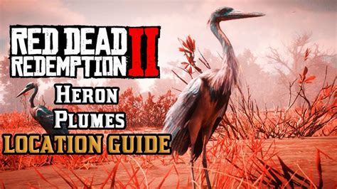 Heron plumes rdr2. 20 Heron Plumes 7 Lady Slipper Orchids 10 Moccasin Flower Orchids: $125: 3: ... In order to find out where you can find these Exotic Items in RDR2, you need to take a look at the map of the world ... 