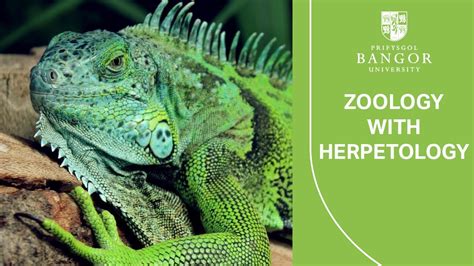 Herpetology masters degree. Undergraduate / Master’s : Herpetology : $300 – $1,000. Enrolled undergraduate or graduate students conducting field-based research in herpetology. Edward C. Raney Fund Award : American Society of Ichthyologists and Herpetologists : Flexible : Graduate : Ichthyology : $400–1000 : members of ASIH enrolled in graduate studies : Erasmus ... 