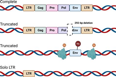 Herv&eacute; Bazin Biography - Pantheon