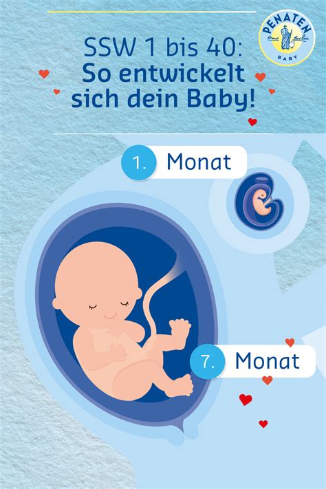 Herz und hände fünfte ausgabe ein hebammenleitfaden für schwangerschaft und geburt. - Nissan tiida latio 2006 owners manual.