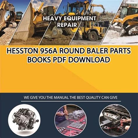 Hesston 956a round baler owners manual. - A guide to the seashores of eastern africa and the western indian ocean islands.