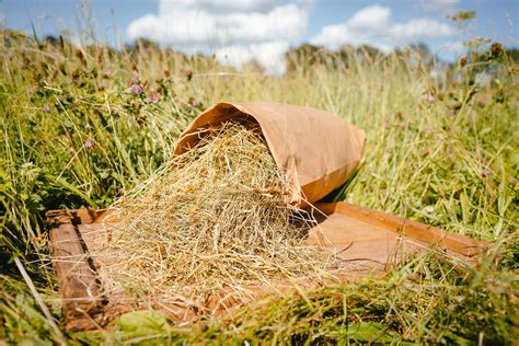 Heu & Stroh » Landesbetrieb Landwirtschaft Hessen