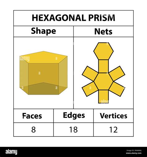 Hexagonal prism 3D Shape Geometry Nets of Solids Activities and