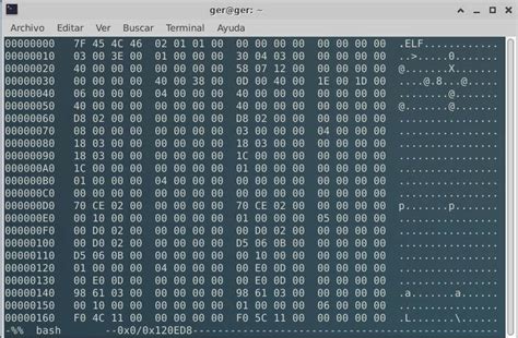 Hexedit linux example.  Usually the GUI for a template is a separate tool window next to ...
