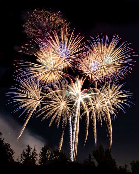 Hey Pandas Post A Firework Picture Closed 