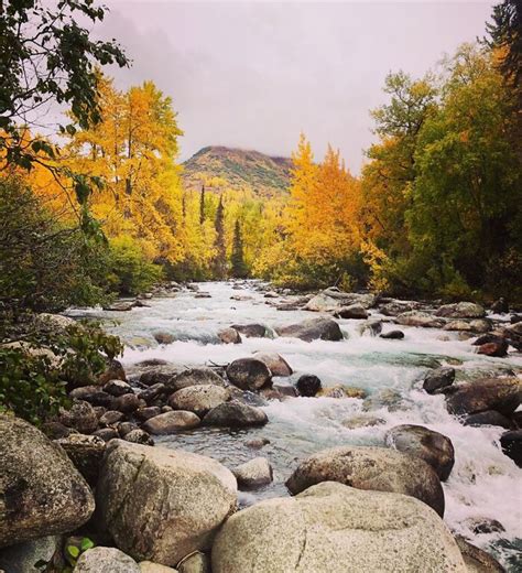 Hey Pandas Post A Pic That Represents A Perfect Autumn Mood 