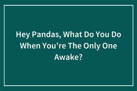 Hey Pandas Share Random Thoughts That Keep You Awake At Night Closed 