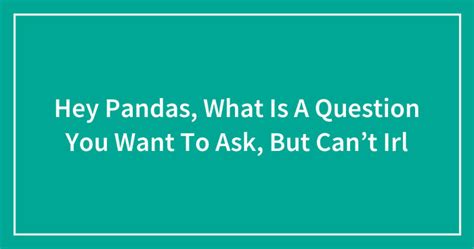 Hey Pandas What Is A Question You Want To Ask But Can t Irl Closed 