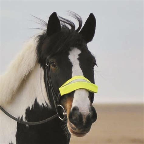 Hi-Vis Gear - Equestrian Next Door