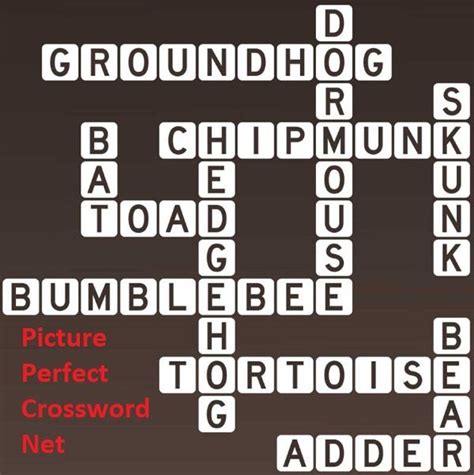 Hibernating Creatures Picture Perfect Crossword