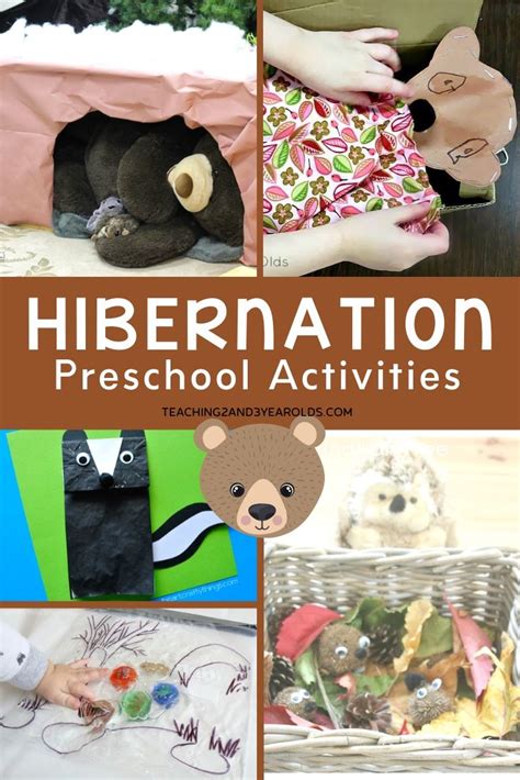 Hibernation Activities for Preschoolers - Teaching Mama