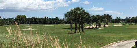 Hibiscus golf. Hibiscus Golf Club | 5375 Hibiscus Drive, Naples, FL 34113 | (239) 774-0088 