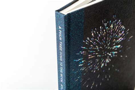 Hibri Halı ve Koltuk Yıkama