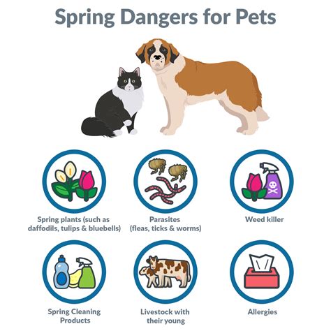 Hidden Dangers of Spring for Your Pet
