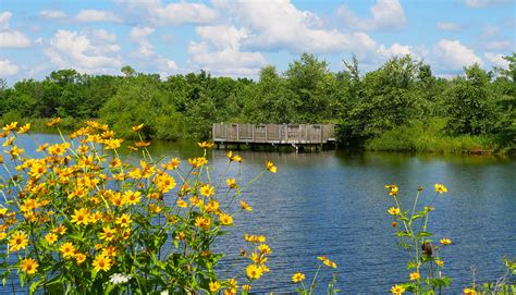 Hidden Hollow Camp - Medina County Parks