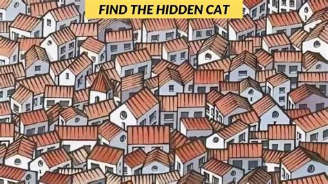 Hidden Kitten Leaks XxX 🍌