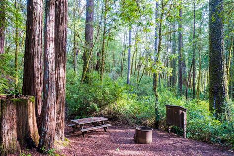 Hidden Springs Campground - Redwood Hikes