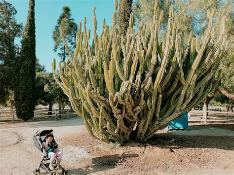 Hidden Valley Nature Center in Riverside, CA 92505 - (951) 785 …