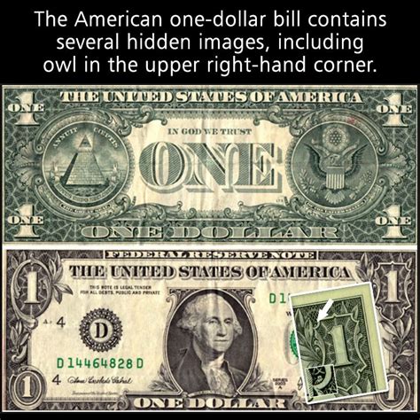 If you watched our previous video, 'Secret Hidden Symbols on US Dollars', you'll be aware of the tiny owl that certain keen-sighted people claim to be able to see on the front of the $1 bill. Rather than explaining it as a trick of the eye, however, some conspiracy theorists colour the owl with a pretty fantastic story.. 