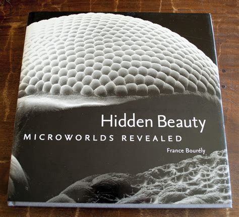 Read Online Hidden Beauty Microworlds Revealed By France Bourely