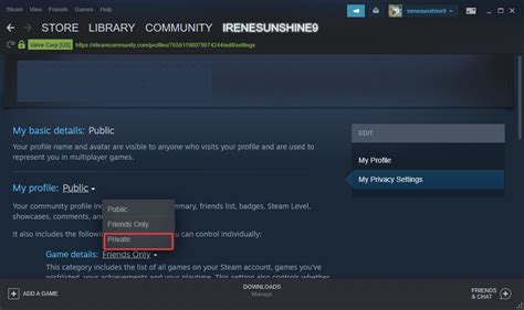 Hide Steam Game Activity From Friends EasyPCMod