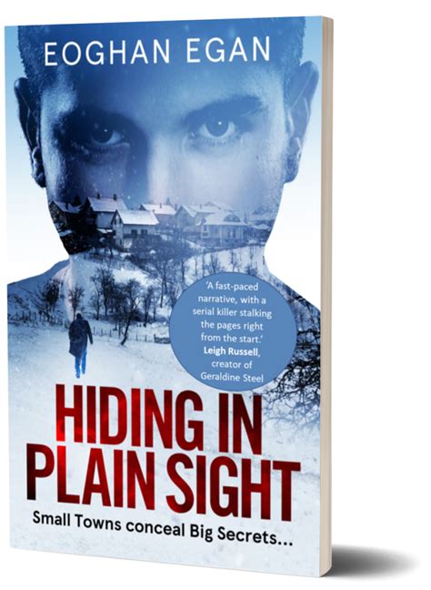 Hiding In Plain Sight by Eoghan Egan. Review