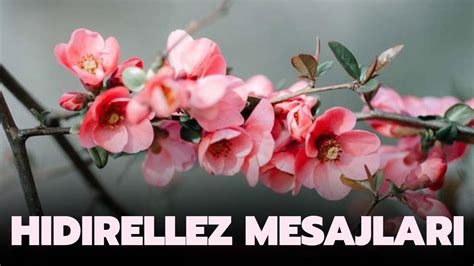 Hidirellez mesajlari Pinterest.