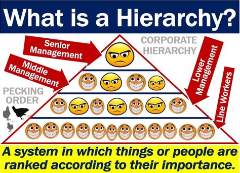 Hierarchically - Definition, Meaning & Synonyms Vocabulary.com