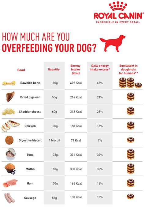 High Calorie Human Foods For Dogs