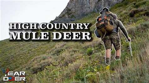 High Country Archery Mule Deer Hunt 4K FILM - YouTube