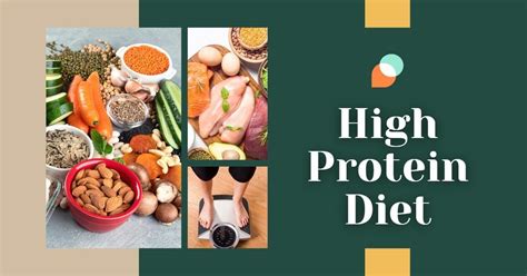 High Protein Diet - an overview ScienceDirect Topics