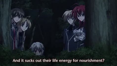 High School DxD OVA - Animension