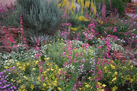High country garden. Things To Know About High country garden. 