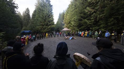 High court won’t examine acquittal of B.C. old-growth logging protester