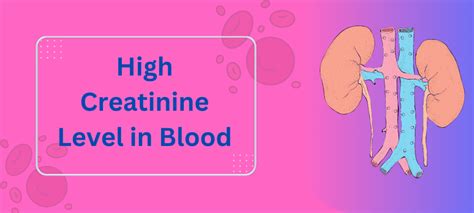 High creatinine level in the blood - MrLabTest