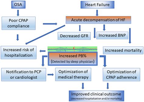 High nocturnal periodic breathing reported by PAP …