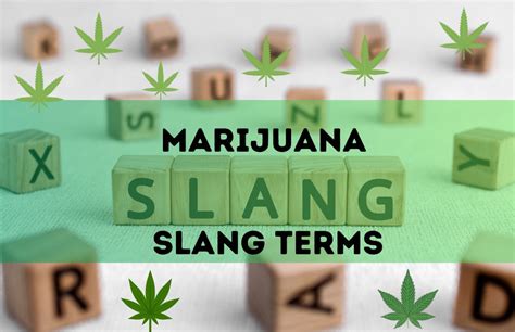 Marijuana, in slang. Crossword Clue We have found 40 answers for the Marijuana, in slang clue in our database. The best answer we found was WEED, which has a length of 4 letters.We frequently update this page to help you solve all your favorite puzzles, like NYT, LA Times, Universal, Sun Two Speed, and more.