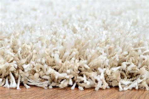 High pile carpet. When dogs eat carpet, it is a sign that the dog is looking for grass to help it regurgitate. Usually, dogs look for something comparable to grass when they are inside, which is eit... 